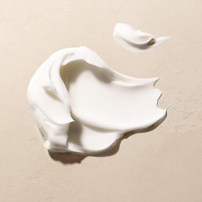 Whipped Argan Oil Body Butter Refill 13.5 fl oz
